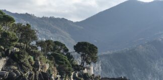 Ile kosztuje zdiagnozowanie usterki w samochodzie?