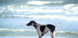 Jakich witamin nie brać na noc?