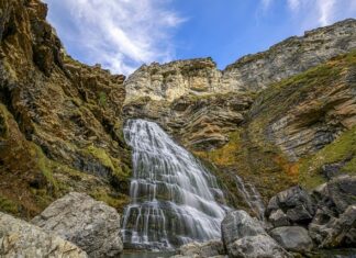 Czy lekarz rodzinny może przepisać Libre?
