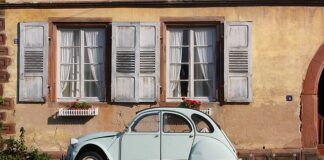 Czym diagnozować Renault?