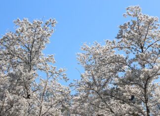 Co to jest błąd DTC? Co to jest błąd DTC?