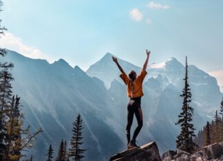 Jaki program diagnostyczny do audi?