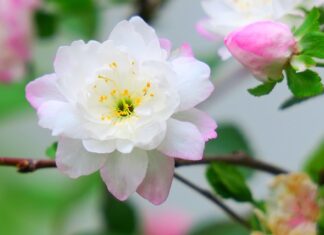 Ile jest rodzajów majtek?