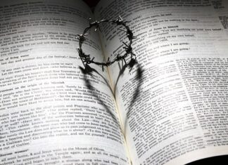 Co to jest Torque po polsku? Co to jest Torque po polsku?