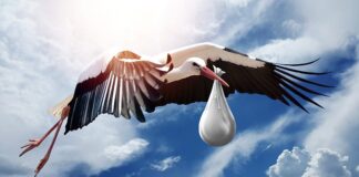 Kiedy wraca płodność po porodzie?