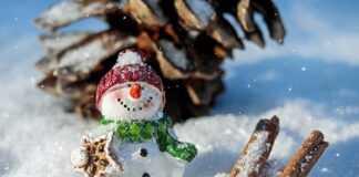 Jak się nazywa czapka pielęgniarki?