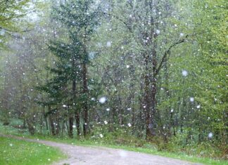 Jest mi słabo i niedobrze? Jest mi słabo i niedobrze?
