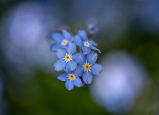 Czy 5 latkowi można podać Apap? Czy 5 latkowi można podać Apap?
