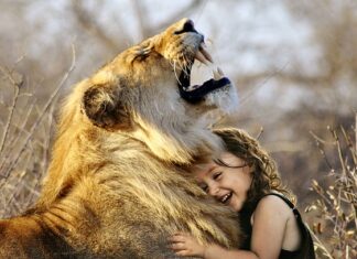 W jakie gry na FB można grać ze znajomymi? W jakie gry na FB można grać ze znajomymi?