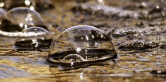 Czy Globulka może wypaść?