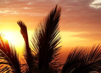 Czy stan zapalny można Rozgrzewać?