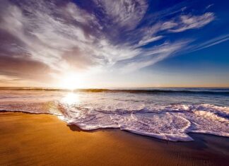 Czy picie herbaty z pokrzywy wzmacnia włosy? Czy picie herbaty z pokrzywy wzmacnia włosy?