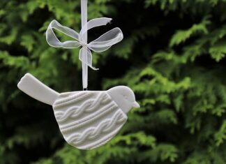 Po co jest kokardka na majtkach?