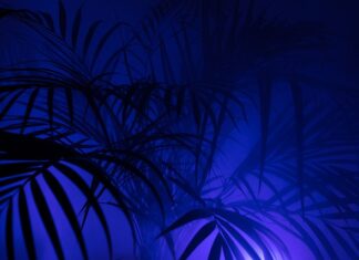 Czy pod legginsy zakładać bieliznę?