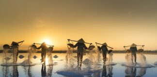 Co ciekawego można robić na polu?