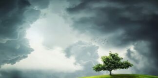 Co oznacza kolor zielony w szpitalu?