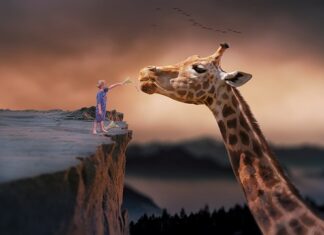 Czy pracodawca może żądać zaświadczenia o karmieniu piersią? Czy pracodawca może żądać zaświadczenia o karmieniu piersią?