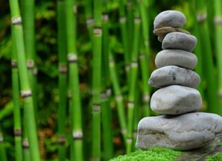 Czy bambus się kurczy w praniu?