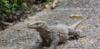 Jak długo jest ważne skierowanie na okulary?