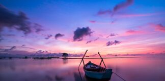 Jak dobrać kolor oprawek okularów?