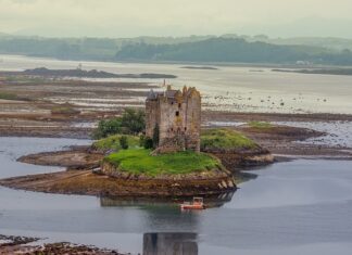 Gdzie aplikować feromony?