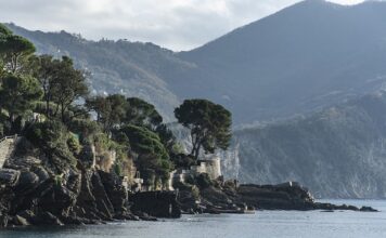 Ile kosztuje zaświadczenie od lekarza?