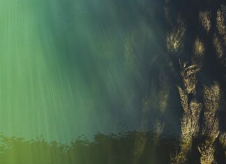 Jak domowym sposobem sprawdzić poziom cukru?