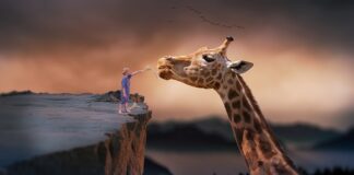 Do jakiego wieku dziecka przysługuje przerwa na karmienie piersią?