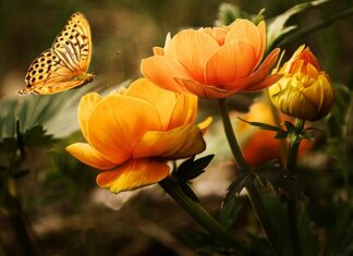 Czy mycie zębów raz dziennie wystarczy?